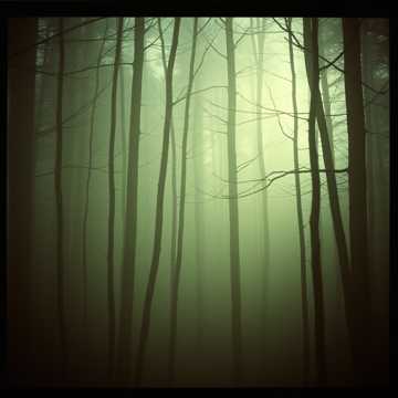 Song Cover