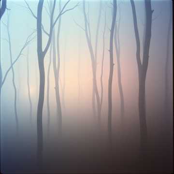 Song Cover