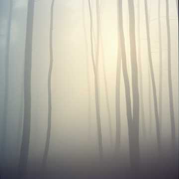 Song Cover