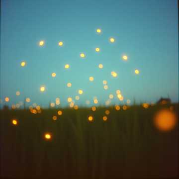Song Cover