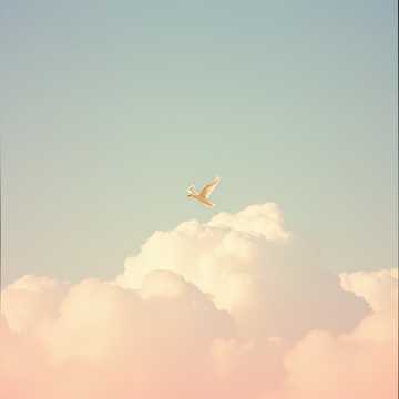 Song Cover