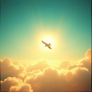 Song Cover