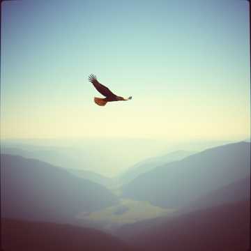 Song Cover