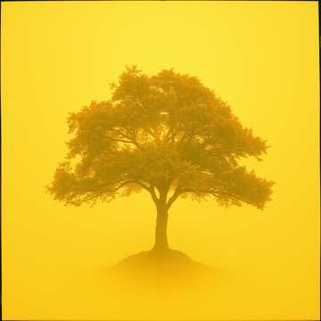 Song Cover