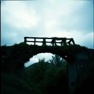 Song Cover