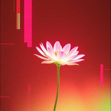 Song Cover