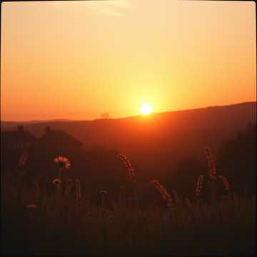 Song Cover