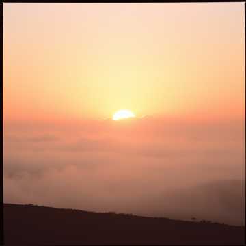 Song Cover
