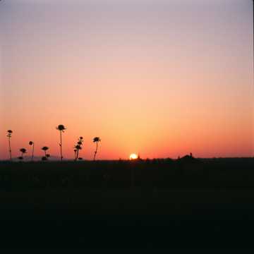Song Cover