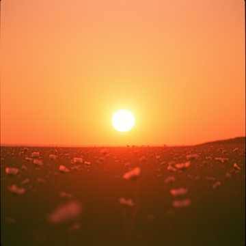 Song Cover