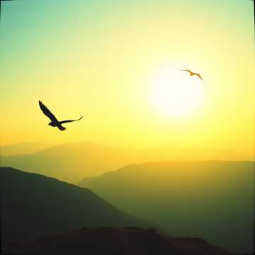 Song Cover