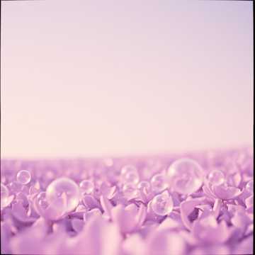 Song Cover