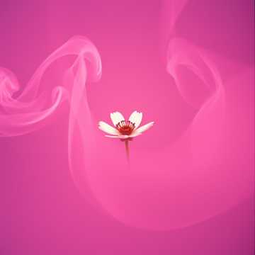 Song Cover