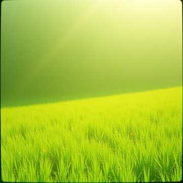 Song Cover