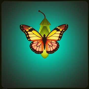 Song Cover