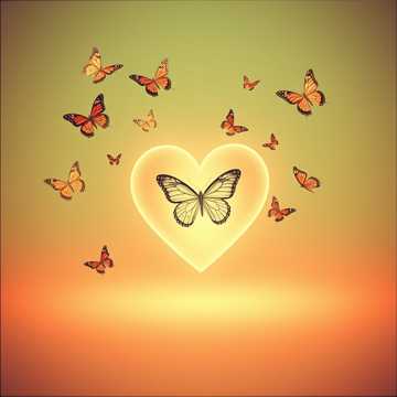 Song Cover