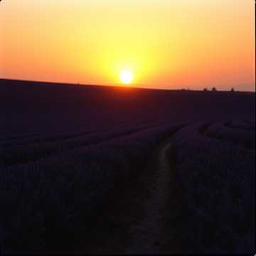 Song Cover