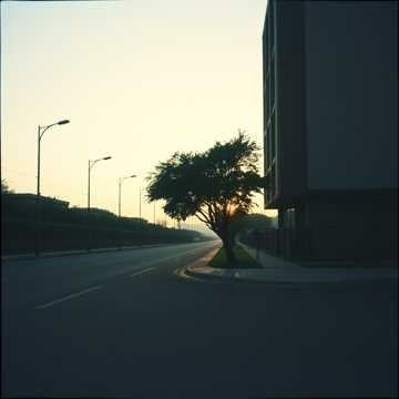 Song Cover