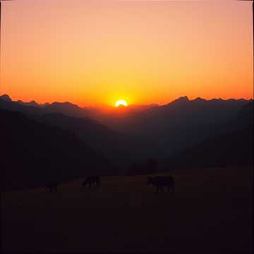 Song Cover