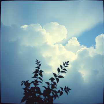 Song Cover